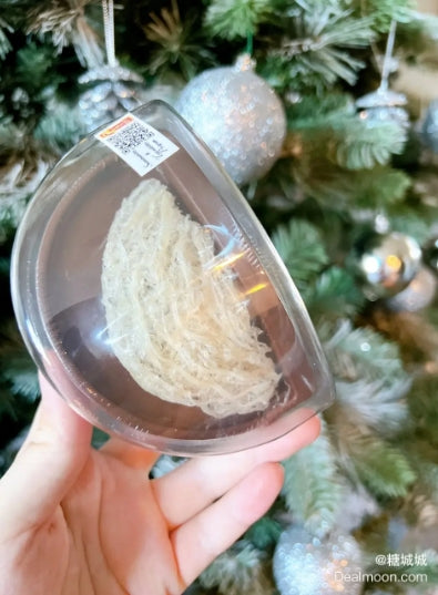 一只手拿着一个透明塑料容器,里面装着一个燕窝,前面是一棵装饰着银色饰品的圣诞树,营造出一种节日气氛。