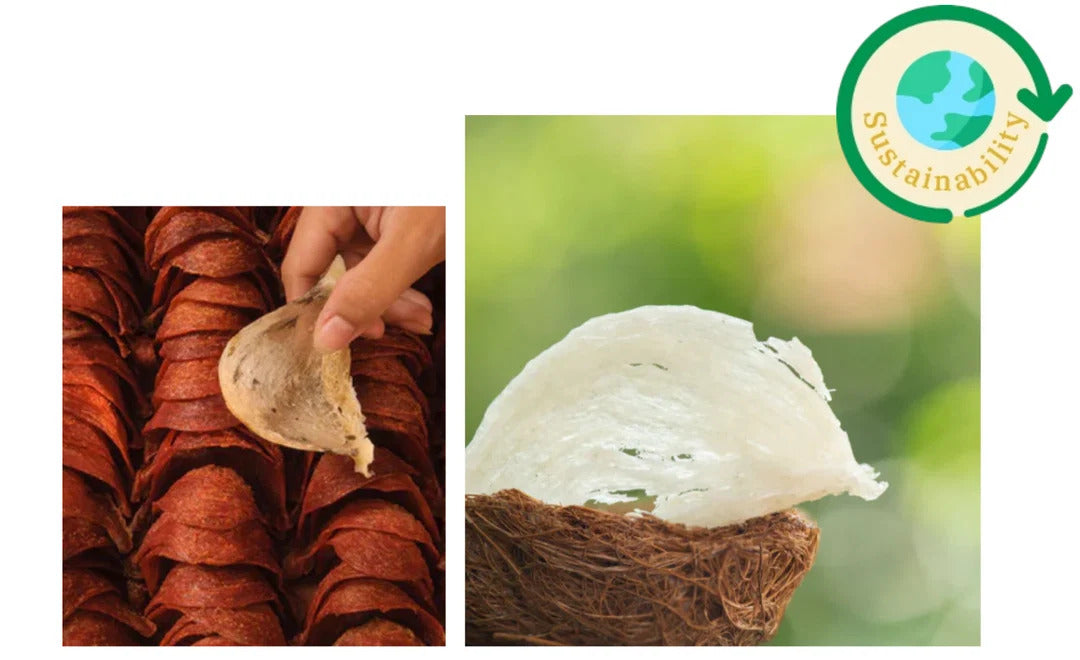 Golden Nest's Sustainability Commitment