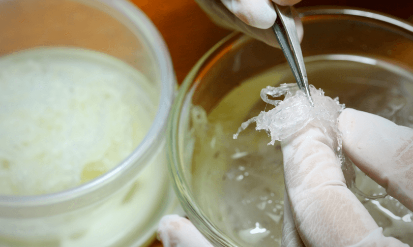 在金燕窩，我們崇尚卓越